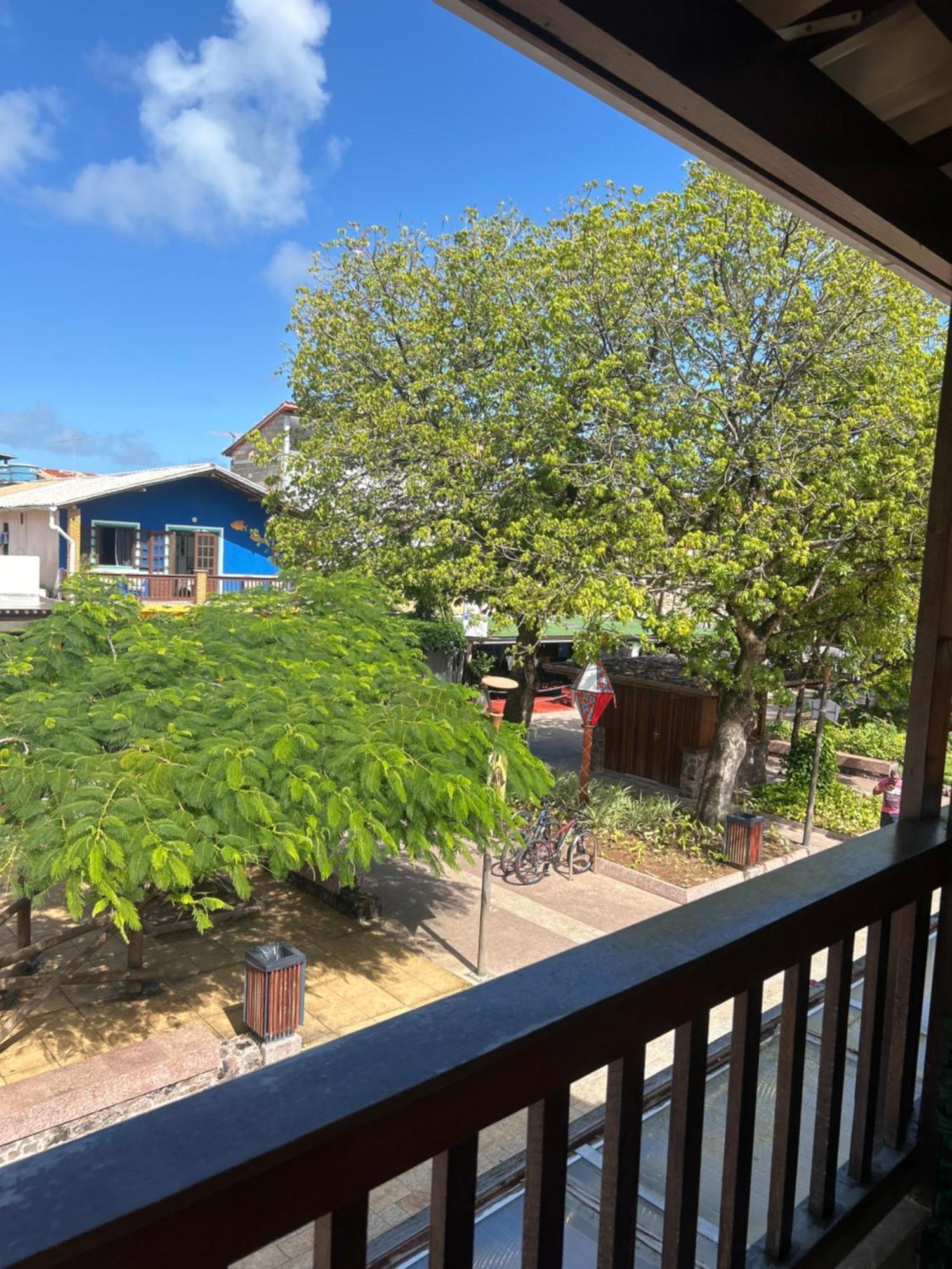 Residencial Angelina * Praia do Forte